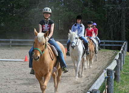 Bibby Ranch (Horseback Riding Lessons & Boarding) | 19874 7th Pl, Escondido, CA 92029, USA | Phone: (760) 503-5400