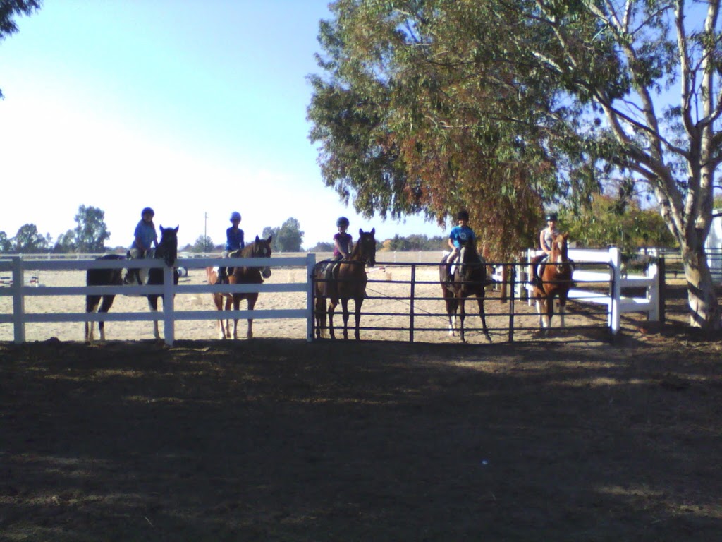 Tally Ho Horse Park | 12263 E Paul Ave, Clovis, CA 93619, USA | Phone: (559) 323-9046