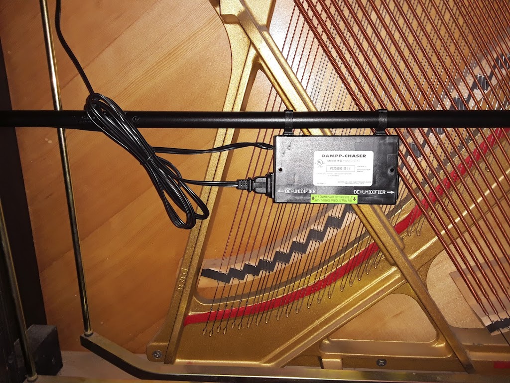 Island Music Guild | 10598 NE Valley Rd, Bainbridge Island, WA 98110, USA | Phone: (206) 780-6911