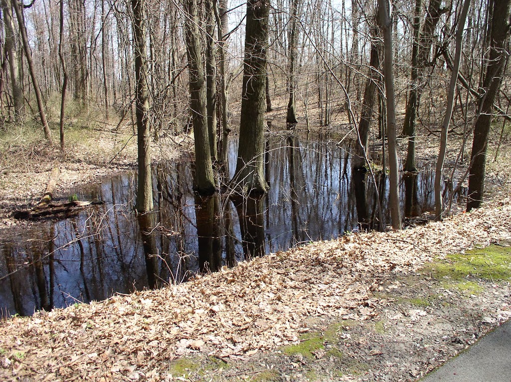 Slippery Elm Trail: Rudolph Savanna | 10296 Rudolph Rd, Rudolph, OH 43462, USA | Phone: (419) 353-1897