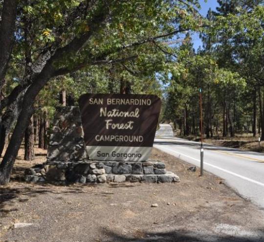 San Gorgonio Family Campground | 43064 CA-38, Angelus Oaks, CA 92305, USA | Phone: (877) 444-6777