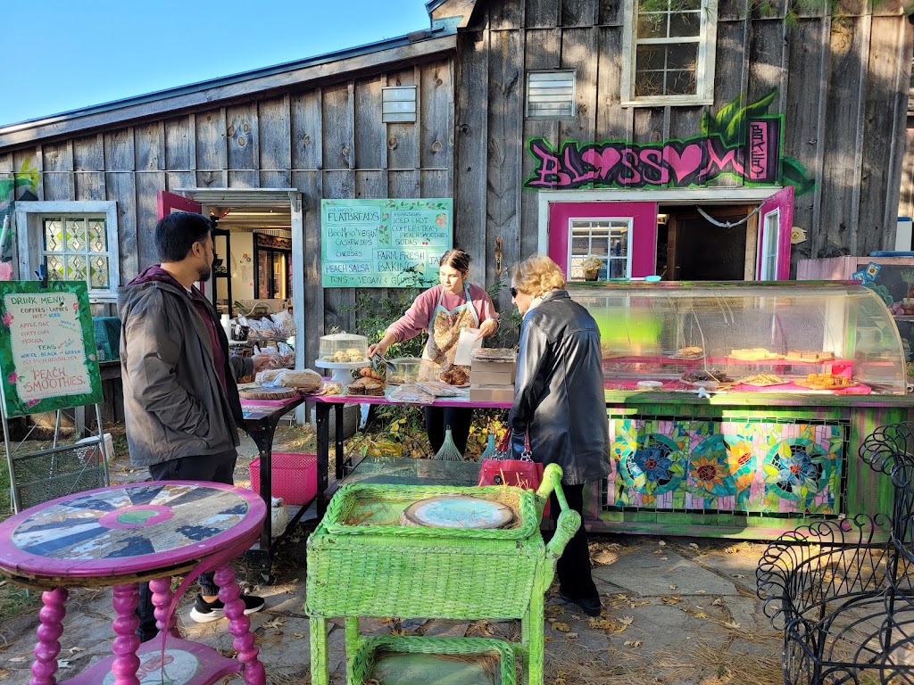 Blossom Bakery | 2323 Honsberger Ave, Lincoln, ON L0R 1S0, Canada | Phone: (905) 327-5390