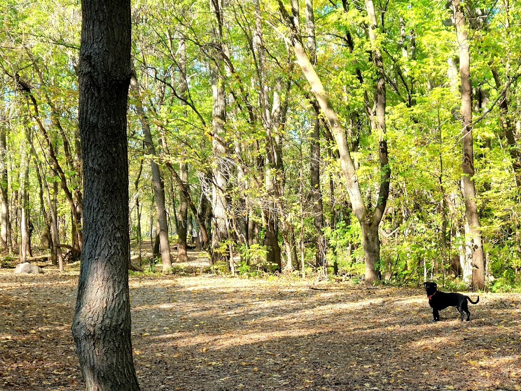 Crow Hassan Dog Park | Crow Hassen Trail Access, Rogers, MN 55374, USA | Phone: (763) 694-7860