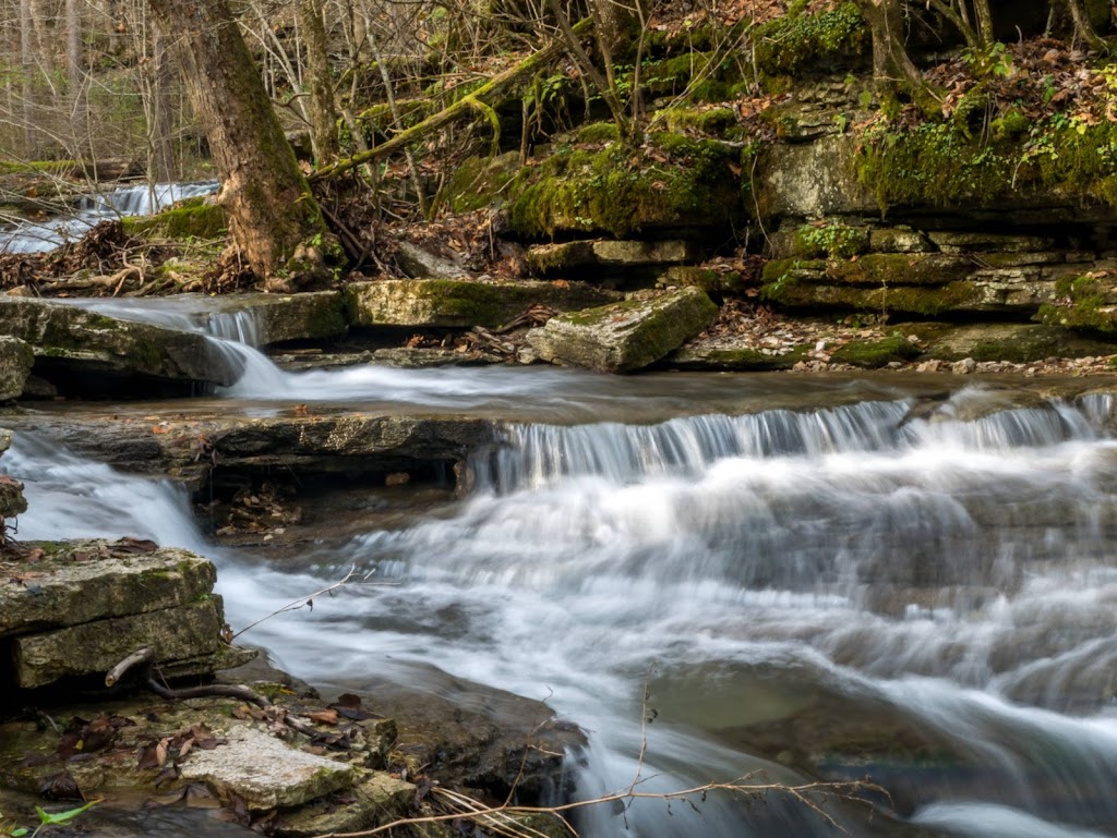 Raven Run Nature Sanctuary | 3885 Raven Run Wy, Lexington, KY 40515, USA | Phone: (859) 272-6105