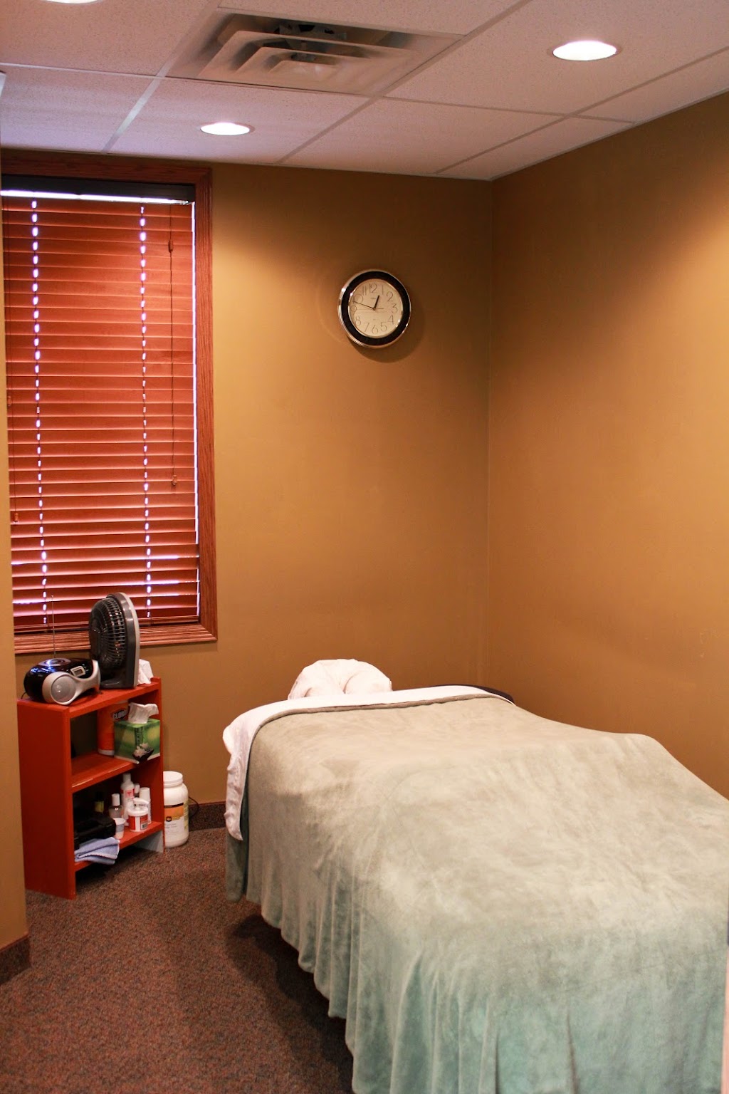 Parkview Chiropractic Clinic | 968 Inwood Ave N, Oakdale, MN 55128, USA | Phone: (651) 578-8588