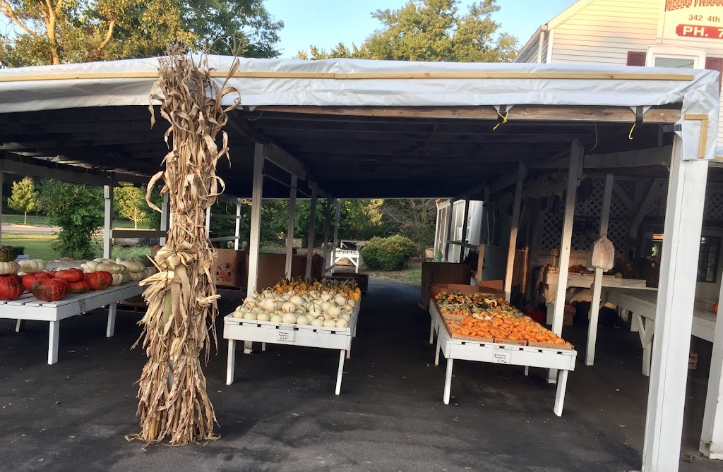 Reeds Produce & Garden Center | 342 4th Ave N, Franklin, TN 37064, USA | Phone: (615) 791-7865