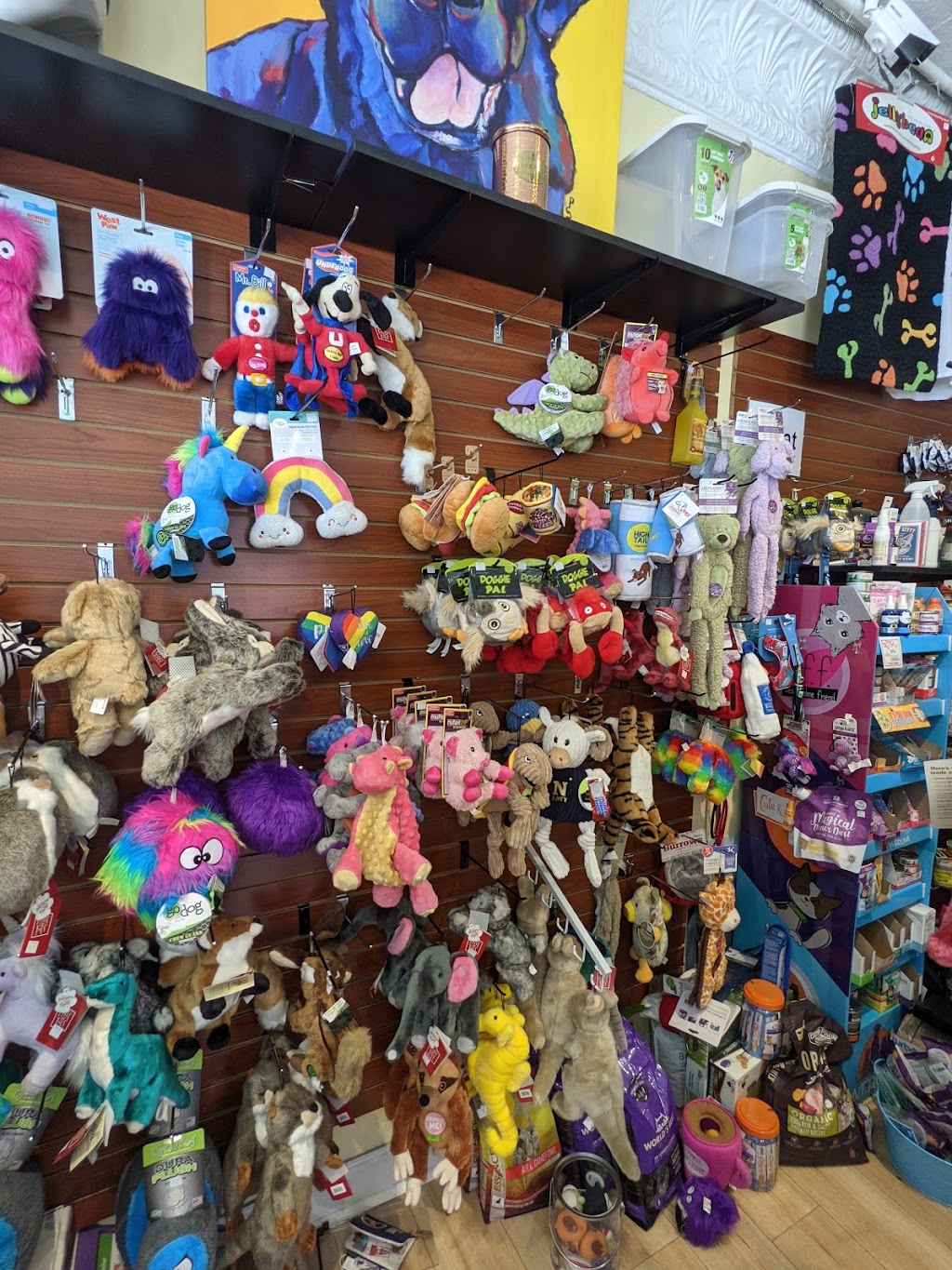 The Dog Store | 2301 Mt Vernon Ave, Alexandria, VA 22301, USA | Phone: (703) 685-9166