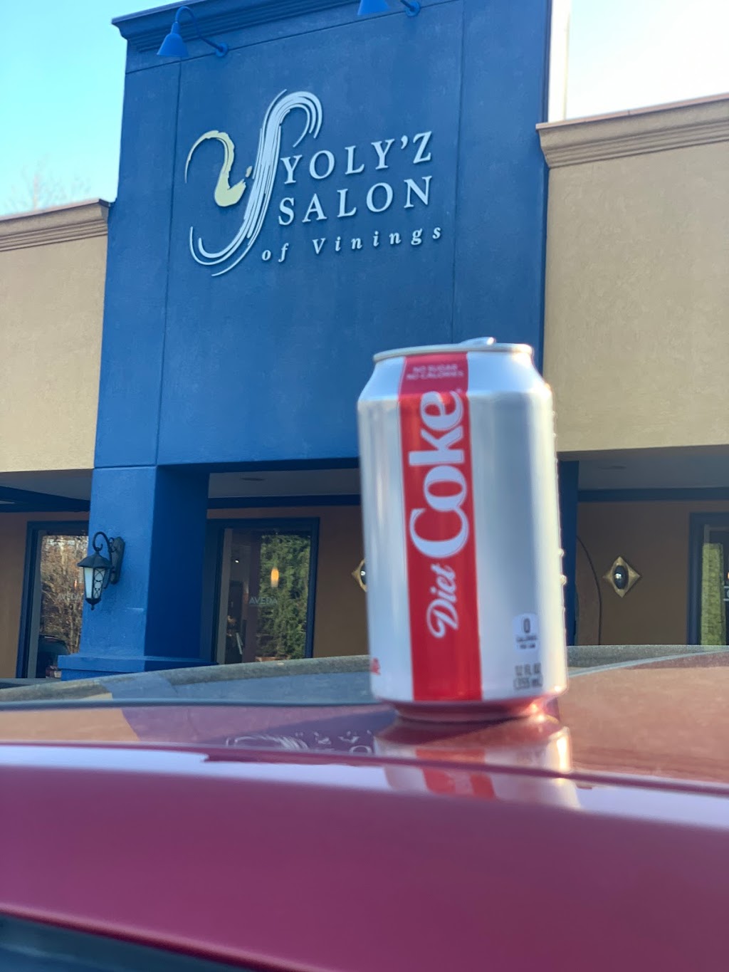 YOLYZ SALON OF VININGS | 3689 Atlanta Rd SE, Smyrna, GA 30080, USA | Phone: (770) 434-6001