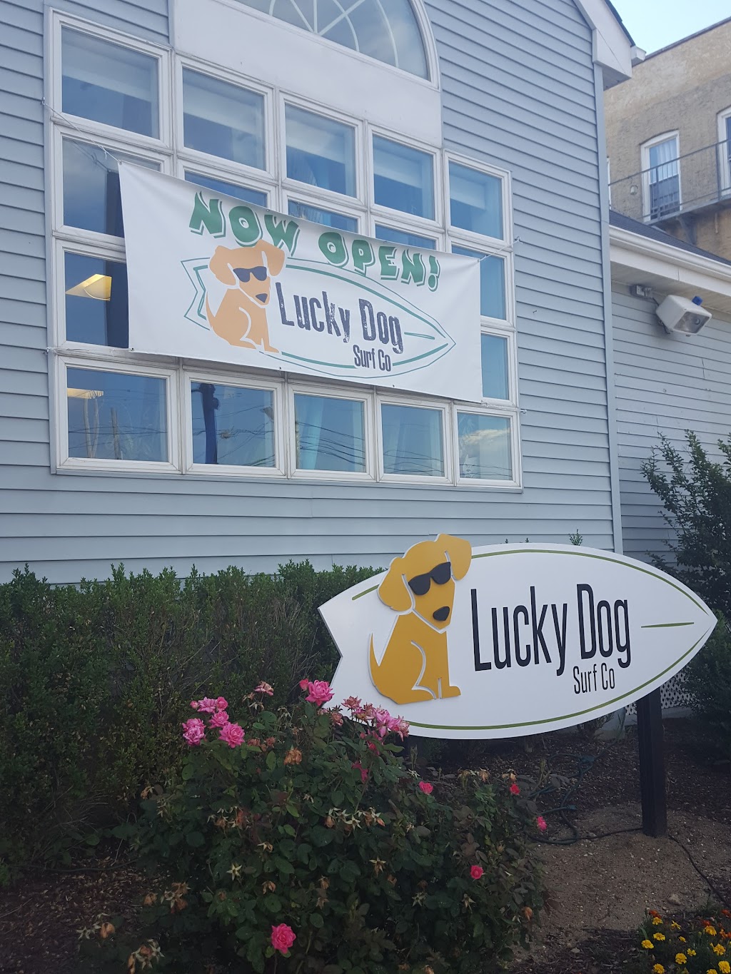 Lucky Dog Surf Co | 1096 Ocean Ave N, Sea Bright, NJ 07760, USA | Phone: (732) 314-6900