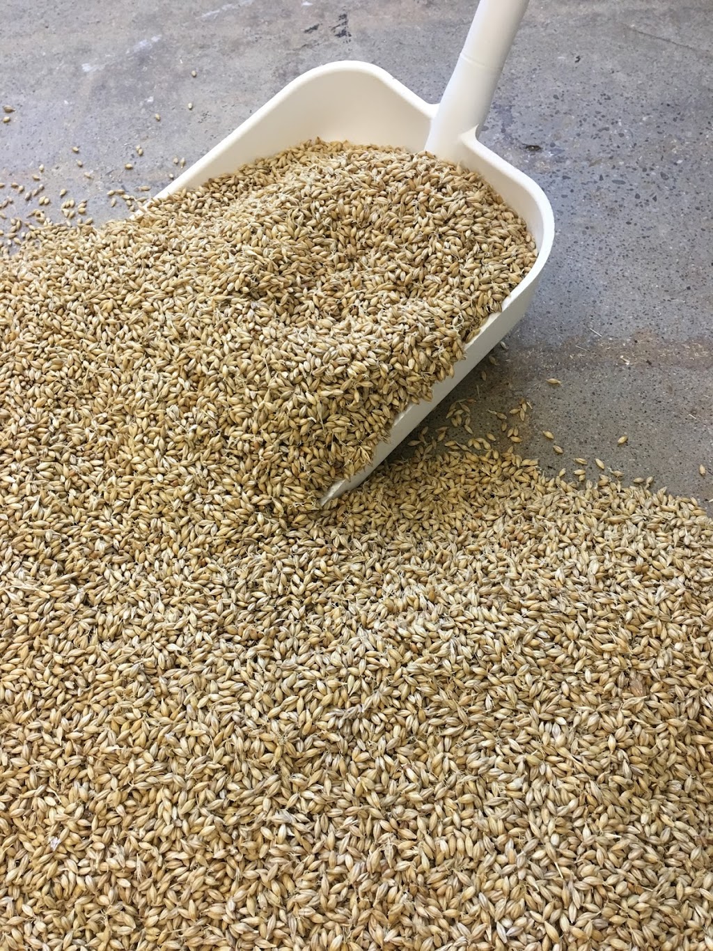 CNC Malt | 719 Clearfield Rd, Fenelton, PA 16034, USA | Phone: (570) 954-4500