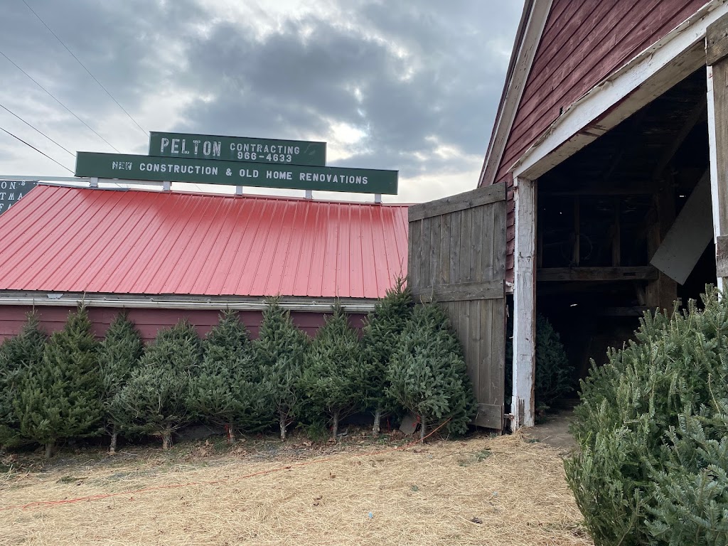 Pelton Christmas Tree Farm | 804 111, Westerlo, NY 12083, USA | Phone: (518) 966-4633