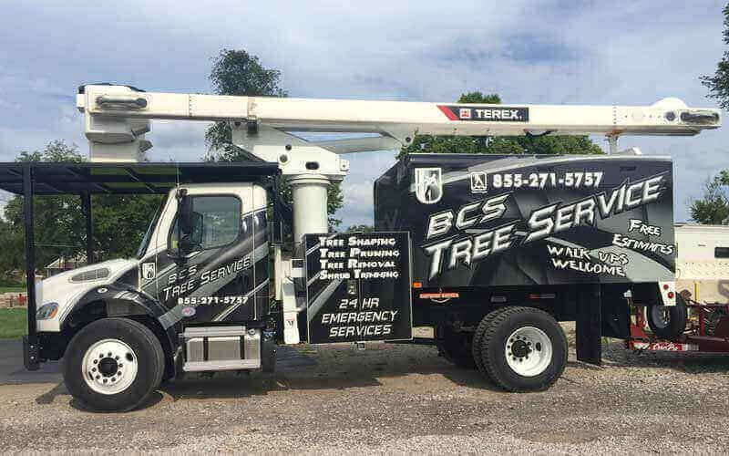 BCS Tree Service | 3752 Marquis Dr, Garland, TX 75042, USA | Phone: (469) 457-8072