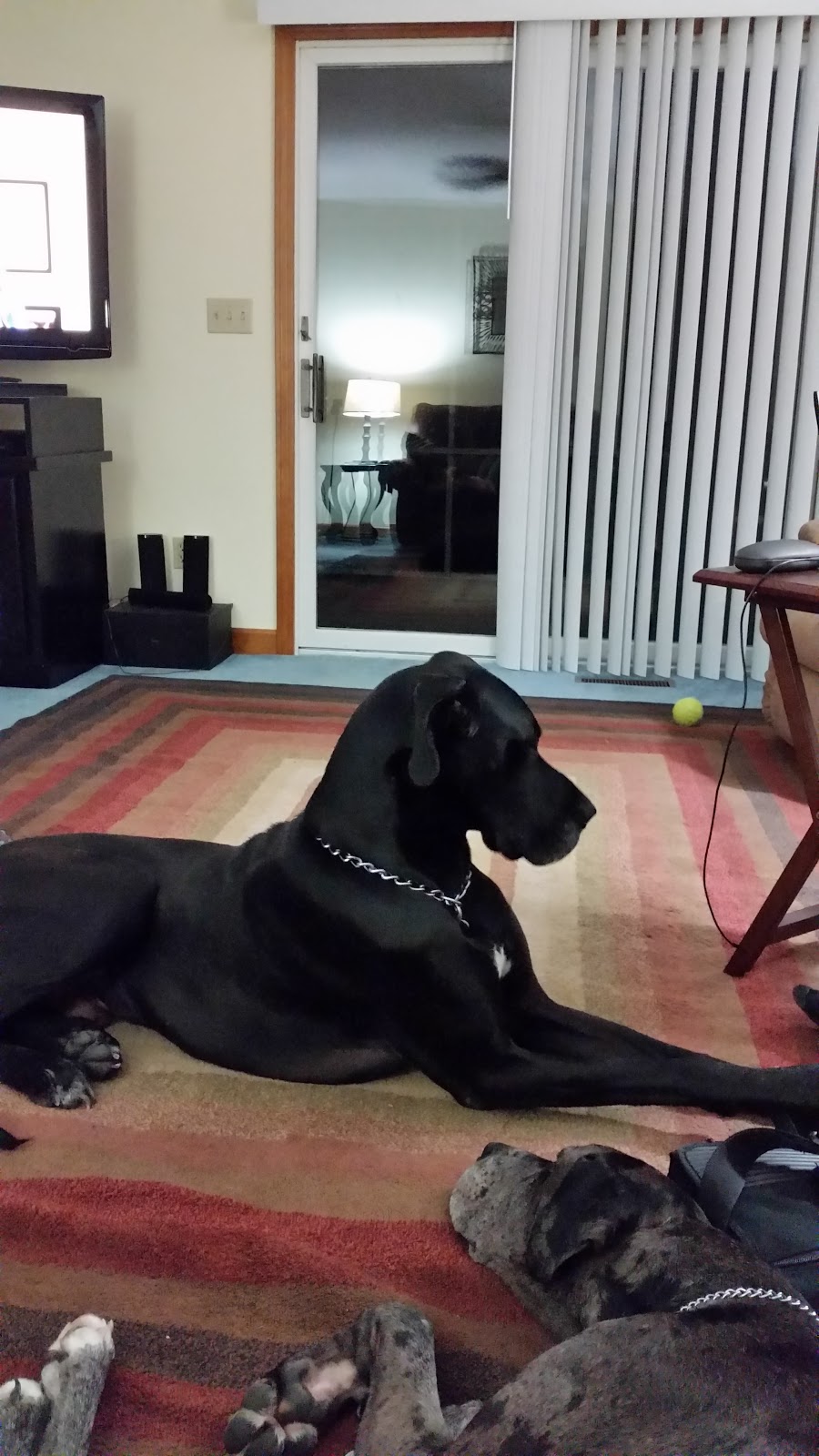 Eastern Shore Animal Hospital | 6421 Caratoke Hwy, Grandy, NC 27939, USA | Phone: (252) 453-8200