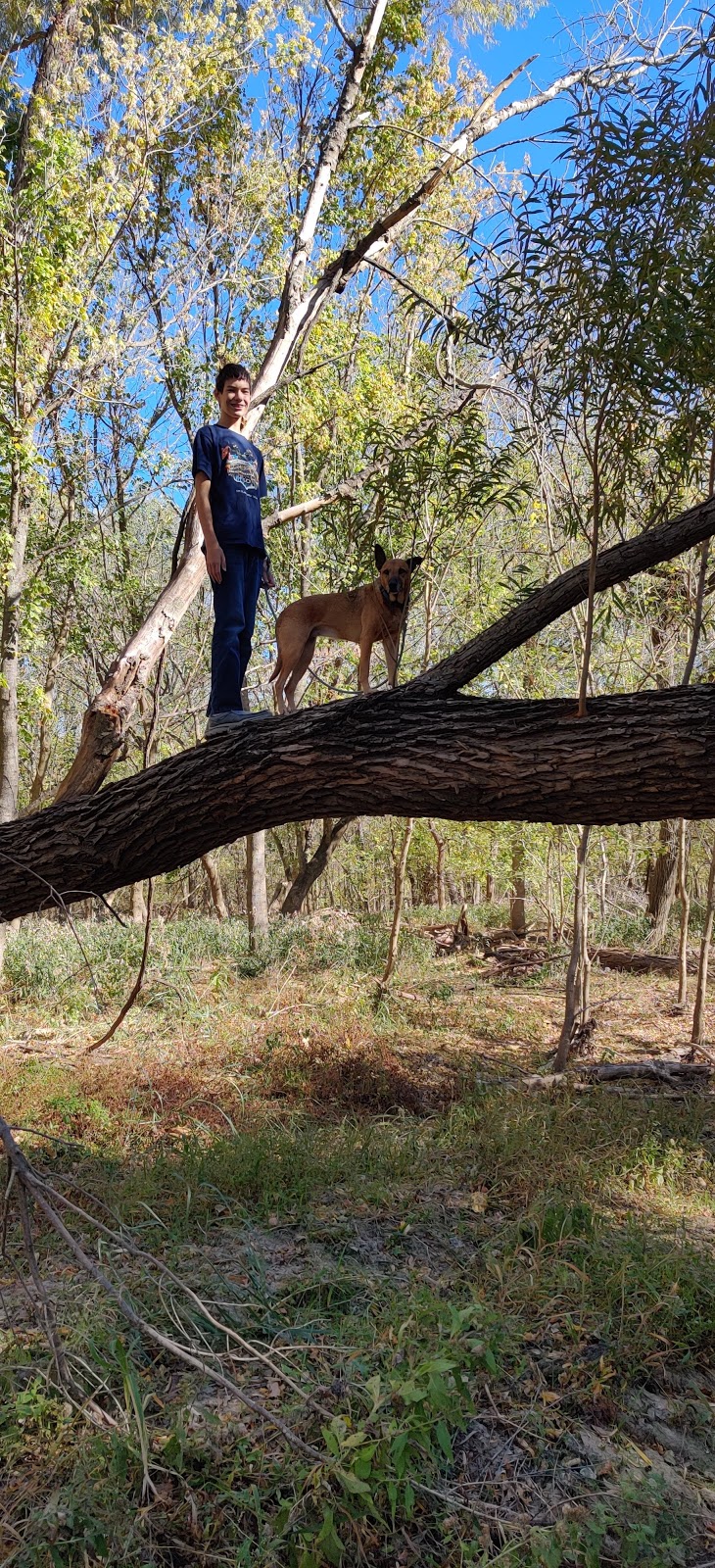 Ash Creek Park | 605 Southeast Pkwy, Azle, TX 76020, USA | Phone: (817) 444-4128