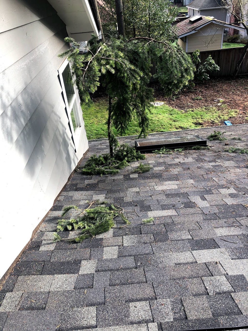 Northpeak Roof Cleaning LLC | 13401 Dana Ln E, Puyallup, WA 98373, USA | Phone: (253) 678-9565