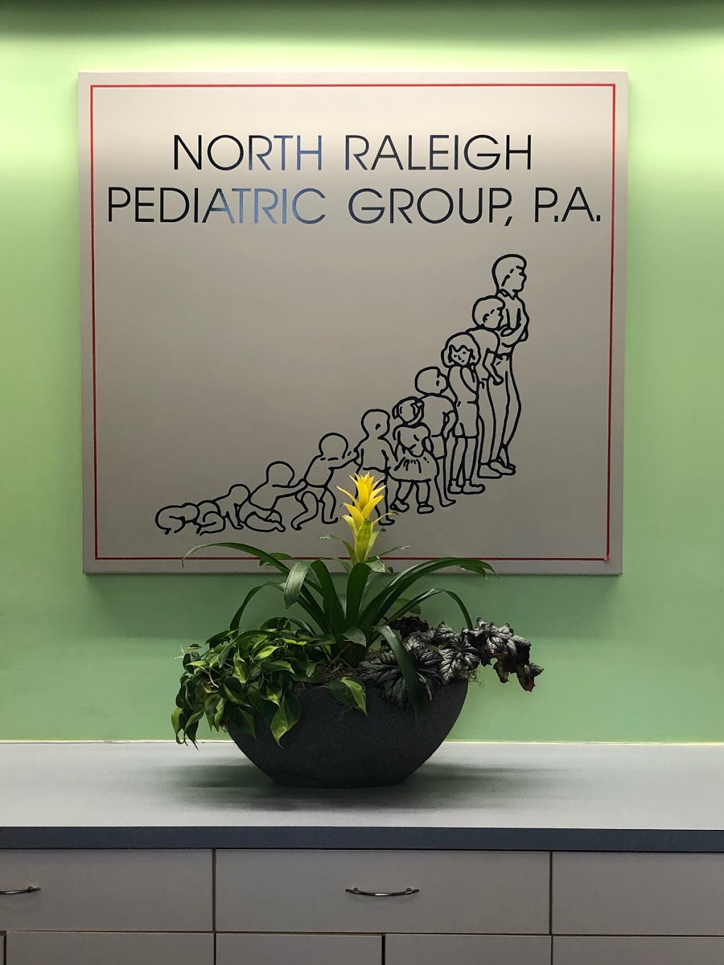 North Raleigh Pediatric Group | 7205 Stonehenge Dr, Raleigh, NC 27613 | Phone: (919) 848-2249