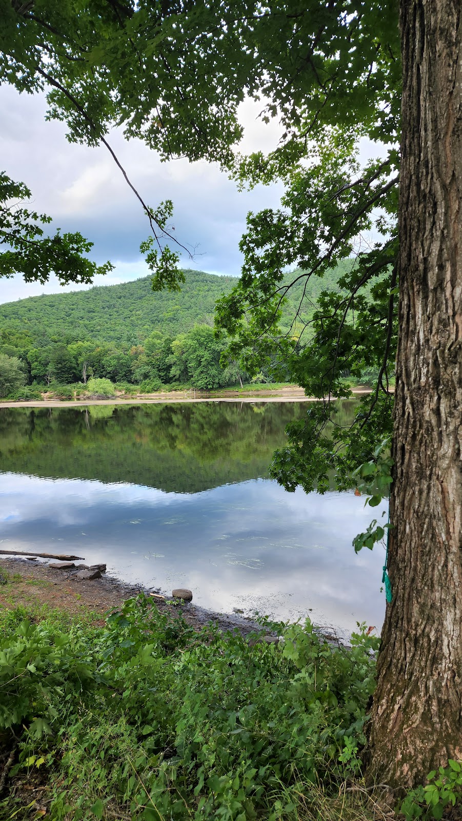 The 1000 Acres Ranch Resort | 465 Warrensburg Rd, Stony Creek, NY 12878, USA | Phone: (518) 696-2444