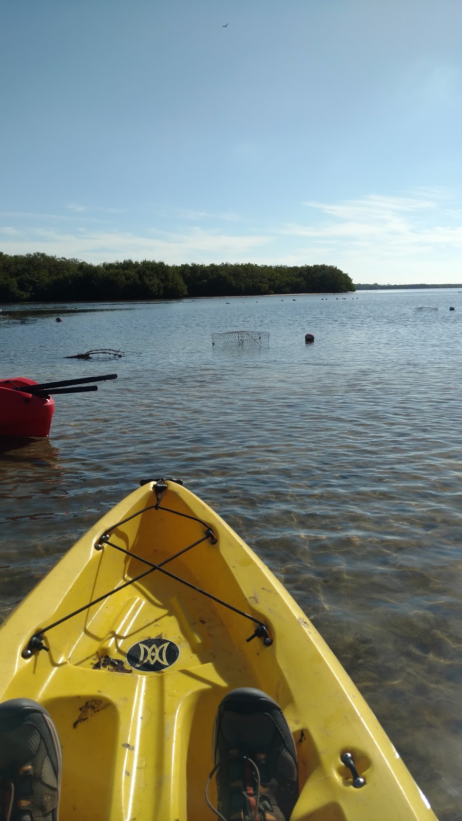 Mobbly Bayou Wilderness Preserve | 423 Lafayette Blvd, Oldsmar, FL 34677, USA | Phone: (727) 582-2100