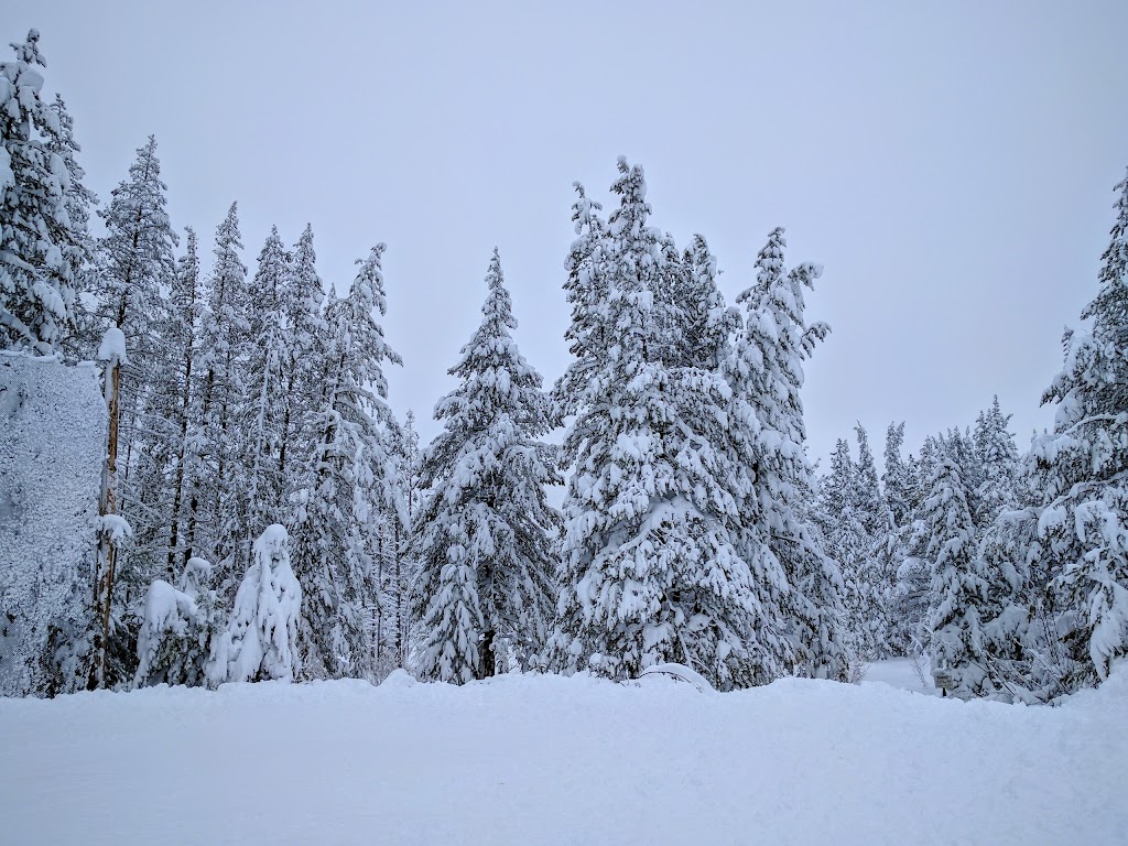 Tahoe Donner Trout Creek Recreation Center | 12790 Northwoods Blvd, Truckee, CA 96161, USA | Phone: (530) 582-9603