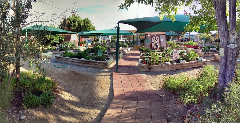 City of Las Vegas Community Garden | 1200 Blankenship Ave, Las Vegas, NV 89106, USA | Phone: (702) 229-6374