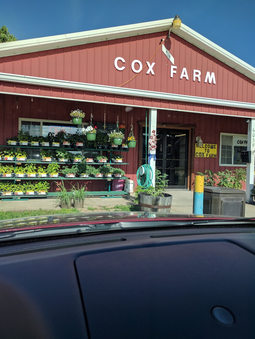 Cox Farm Wichita | 6059 S Seneca St, Wichita, KS 67217, USA | Phone: (316) 524-8062