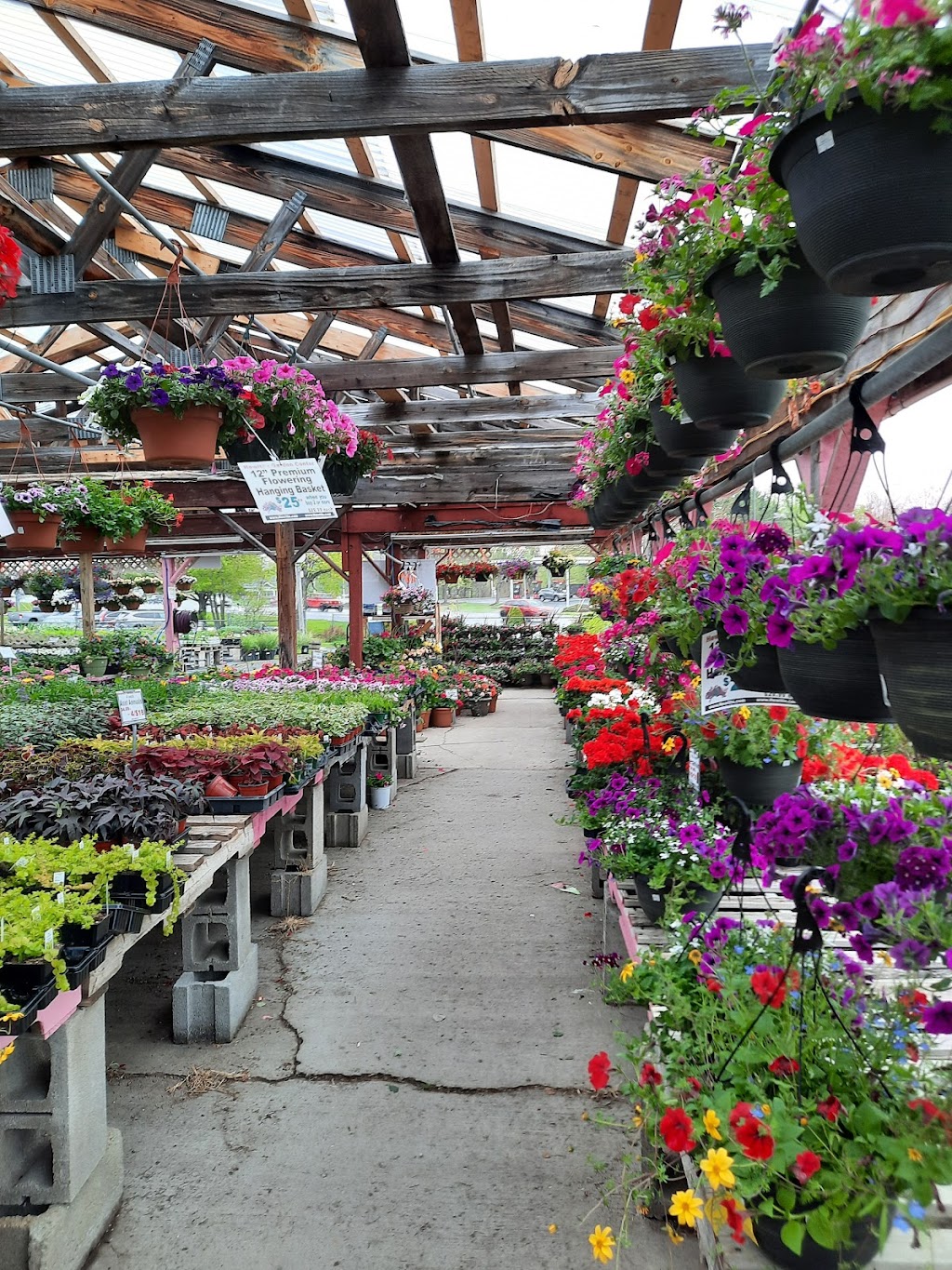 Hewitts Garden Center | 1582 US-9, Clifton Park, NY 12065, USA | Phone: (518) 371-0126
