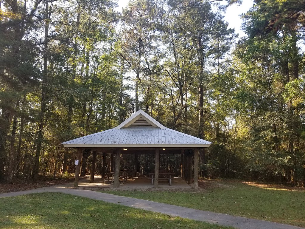 Tickfaw State Park | 27225 Patterson Rd, Springfield, LA 70462, USA | Phone: (225) 294-5020