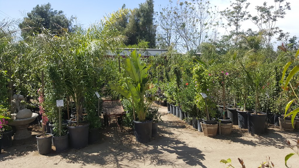 Rancho Nursery | 16228 Slover Ave, Fontana, CA 92337, USA | Phone: (909) 900-5791