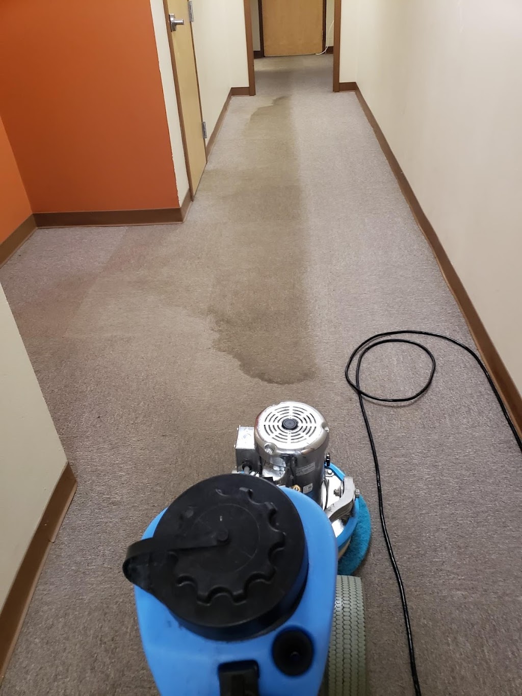 A1 Carpet Cleaning | 12 Ponderosa Trail, Sparta Township, NJ 07871, USA | Phone: (732) 807-1295