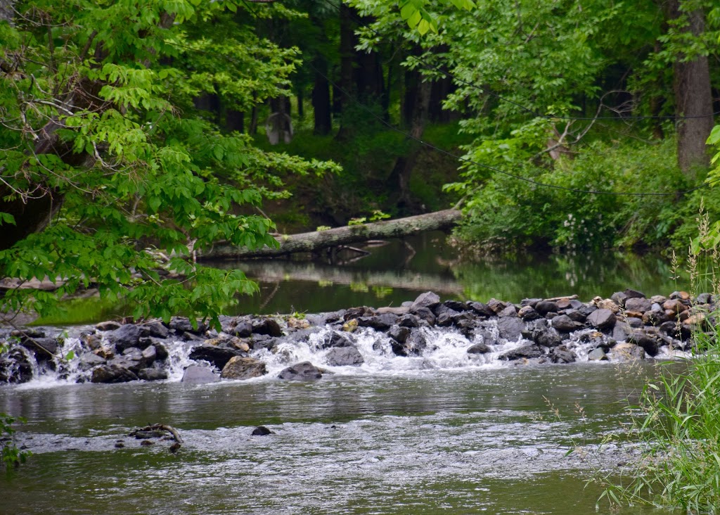 Pumpkin Hollow Retreat Center | 1184 Co Rd 11, Craryville, NY 12521, USA | Phone: (518) 325-3583