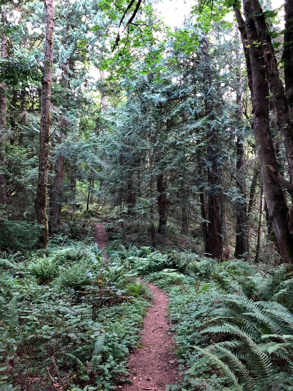 Harvey Manning Park at Talus | 919 Bear Ridge Ct NW, Issaquah, WA 98027, USA | Phone: (425) 837-3000