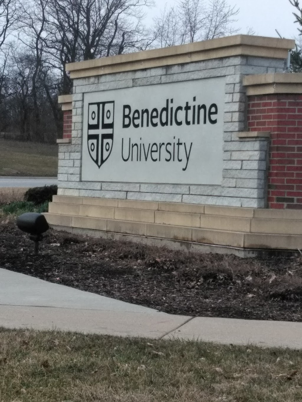 Benedictine University | 5700 College Rd, Lisle, IL 60532, USA | Phone: (630) 829-6000