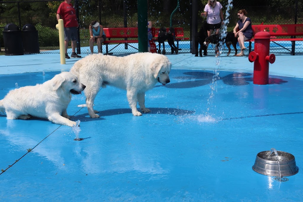 Happy Hounds Playground - Membership Dog Park | 2448 Pond Rd, Grover, MO 63040, USA | Phone: (314) 456-8358