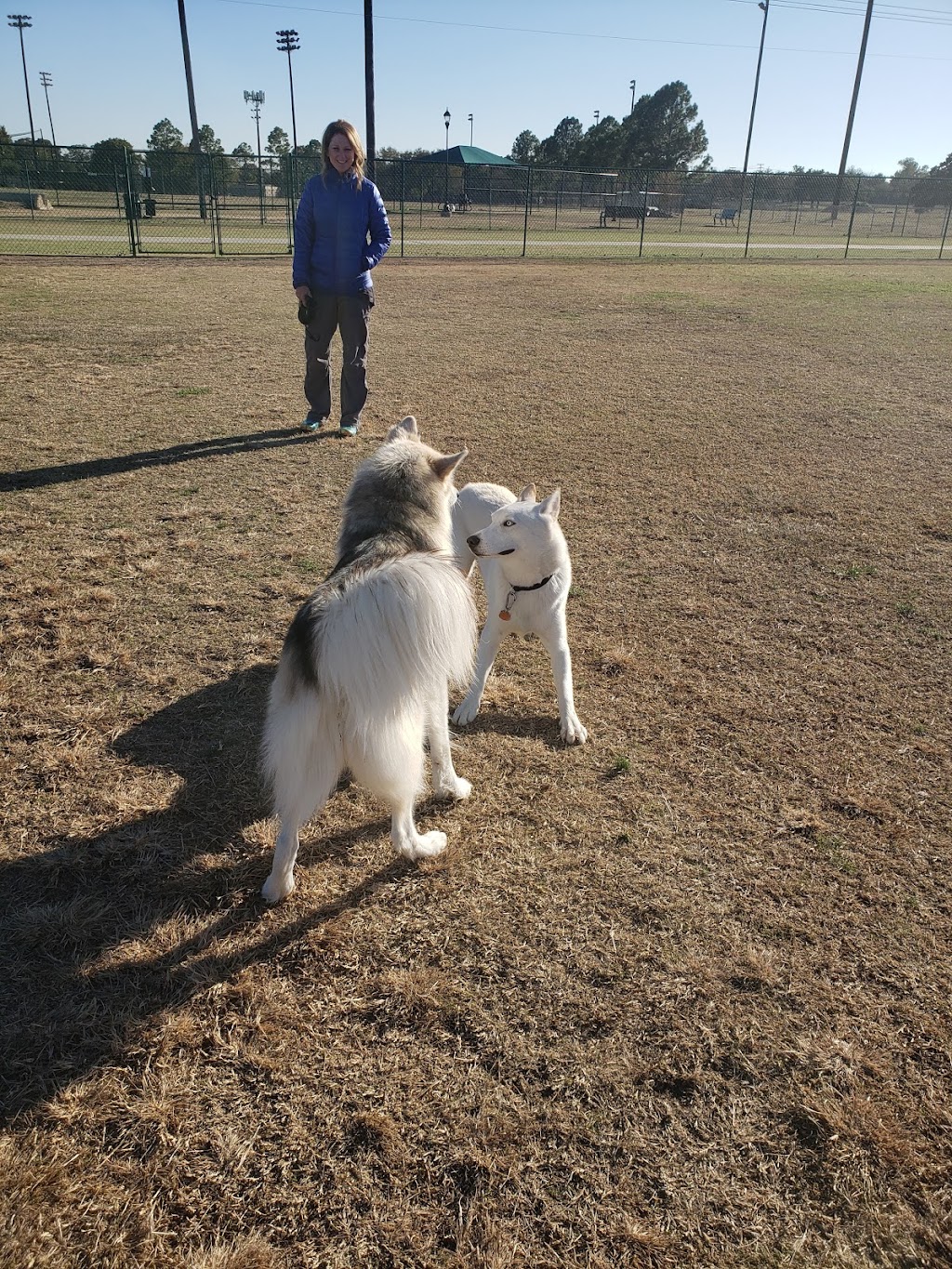 Bedford Bark Park | 3200 Meadow Park Dr, Bedford, TX 76021, USA | Phone: (817) 952-2100