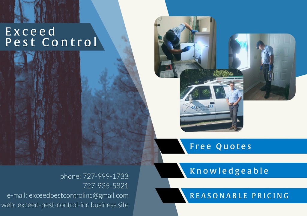 Exceed Pest Control Inc | 1734a Rumar Ln, Holiday, FL 34691 | Phone: (727) 999-1733