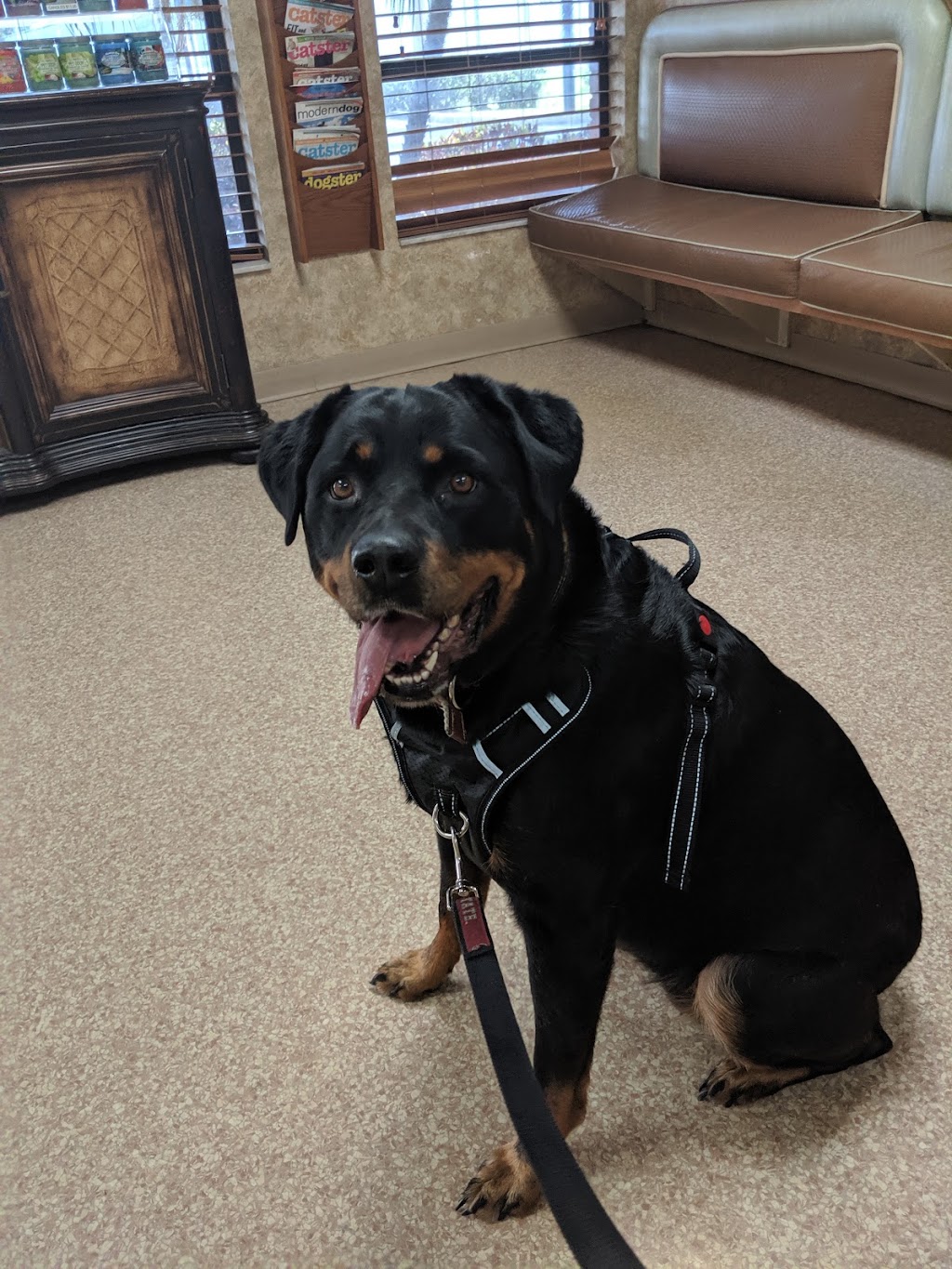 Apollo Beach Animal Hospital | 5998 N U.S. Hwy 41, Apollo Beach, FL 33572, USA | Phone: (813) 645-9567