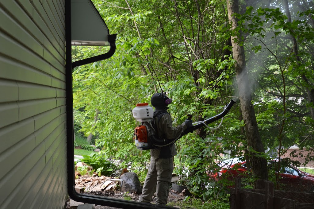 Midwest Pest Control | Appleton Ave, Menomonee Falls, WI 53051, USA | Phone: (262) 547-9900