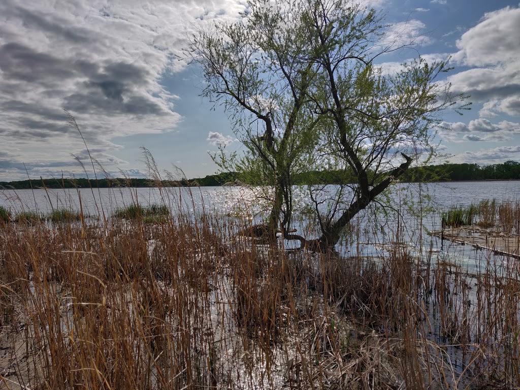 Wargo Nature Center | 7701 Main St, Lino Lakes, MN 55038, USA | Phone: (763) 324-3350