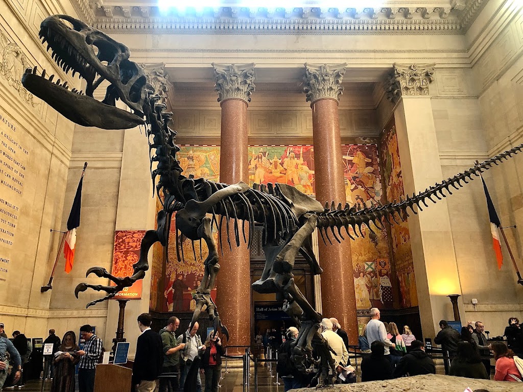 American Museum of Natural History | 200 Central Park West, New York, NY 10024, USA | Phone: (212) 769-5100