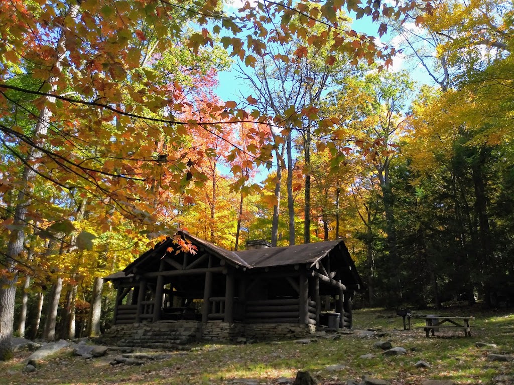 Coopers Rock State Forest | 61 County Line Dr, Bruceton Mills, WV 26525, USA | Phone: (304) 594-1561