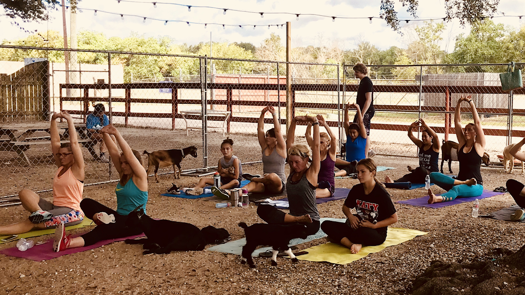 Goat Yoga Houston | 7730 Bailey Rd, Pearland, TX 77584, USA | Phone: (713) 578-0068