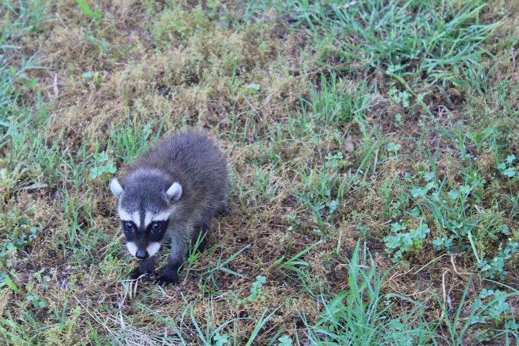 Tom Samples Pest Control | 110 Couch Ct, Springtown, TX 76082, USA | Phone: (817) 915-2470