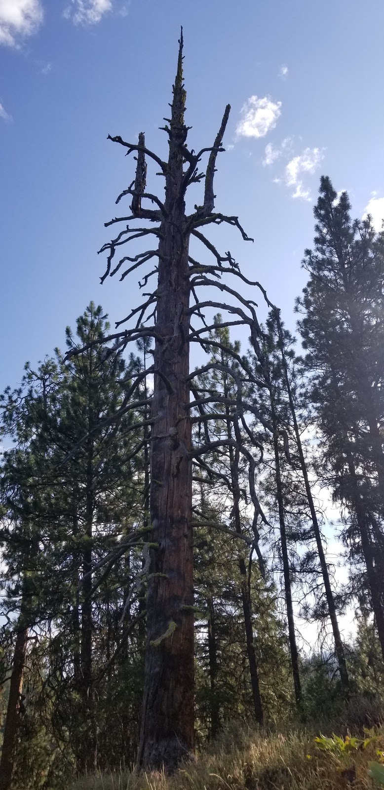 Station Creek Trailhead | County Hwy 17, Boise, ID 83701, USA | Phone: (208) 373-4100