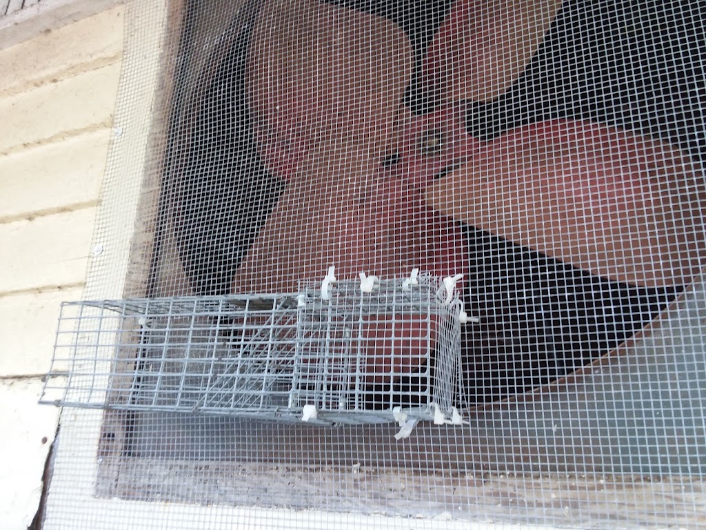 Ramson Services, inc. | 6348 Rocky Point Rd, Lake Wales, FL 33898, USA | Phone: (863) 232-9153