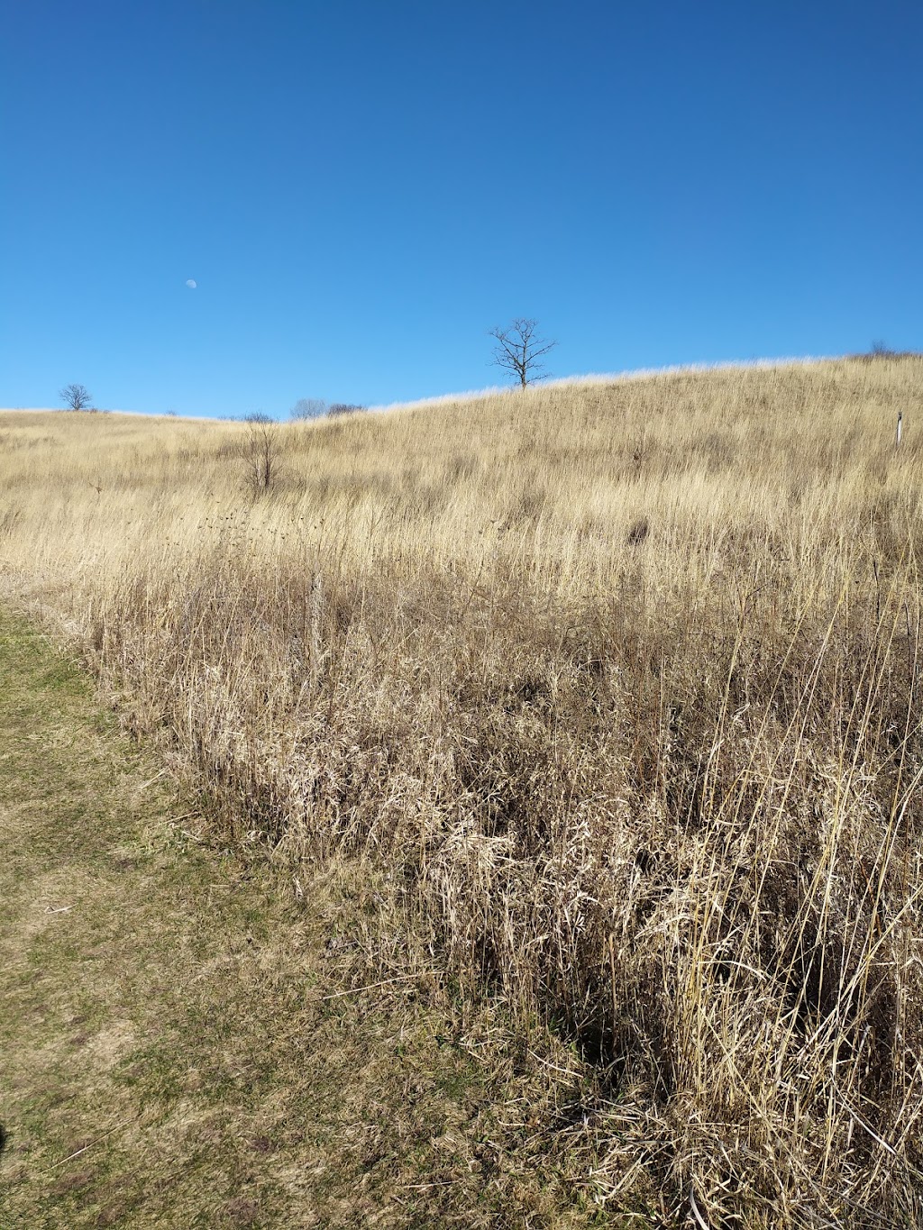 Prairie Ridge Conservation Park | 2406 Berkley Dr, Madison, WI 53719, USA | Phone: (608) 266-4711