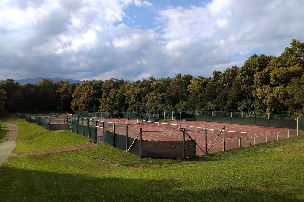 Total Tennis-Saugerties NY | 1811 Old Kings Hwy, Saugerties, NY 12477, USA | Phone: (845) 247-9177