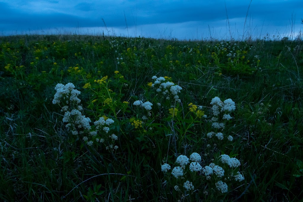 Klapka Tallgrass Prairie | 4WWJ+F58, Pawnee City, NE 68420, USA | Phone: (402) 486-4846