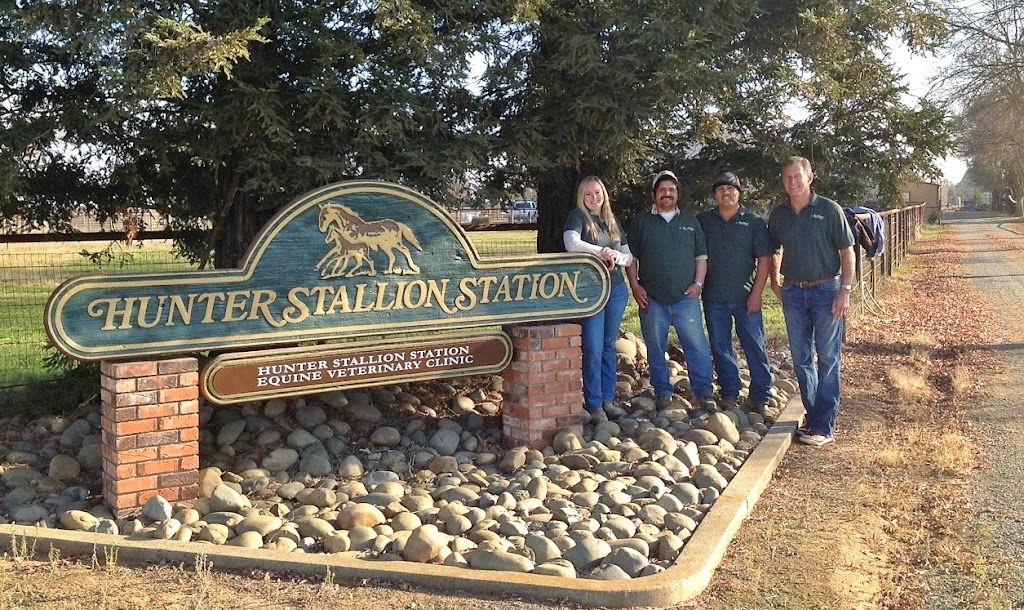 Hunter Stallion Sta Equine Vet | 10163 Badger Creek Ln, Wilton, CA 95693, USA | Phone: (916) 687-6870