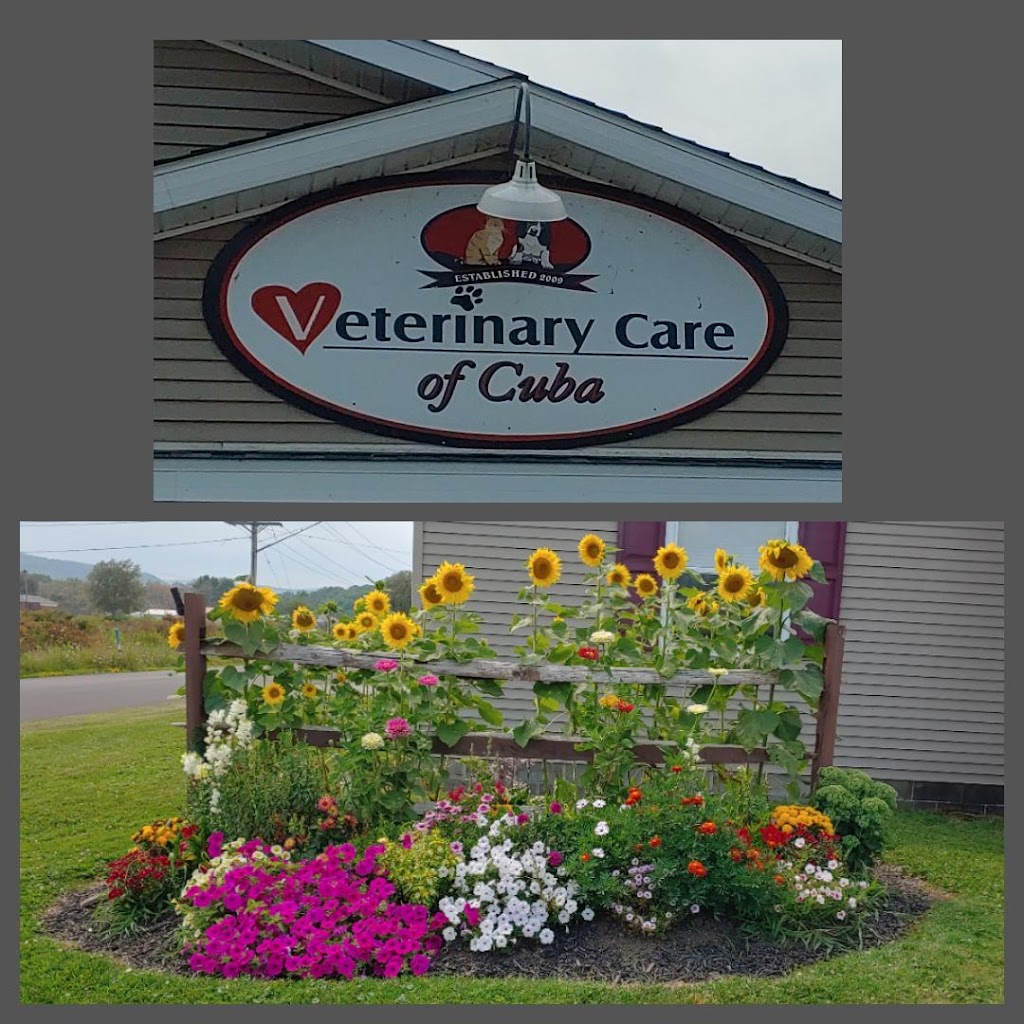 Veterinary Care of Cuba | 10 Center St, Cuba, NY 14727, USA | Phone: (585) 968-0205