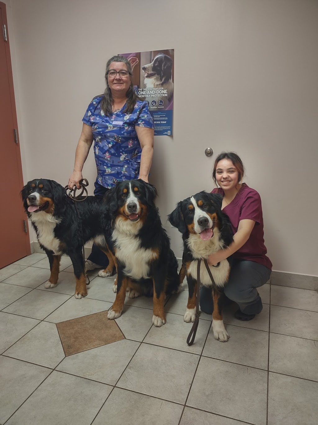 A W Animal Hospital | 24189 Chernick St, Taylor, MI 48180, USA | Phone: (313) 295-2270